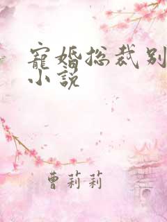 宠婚总裁别太坏小说