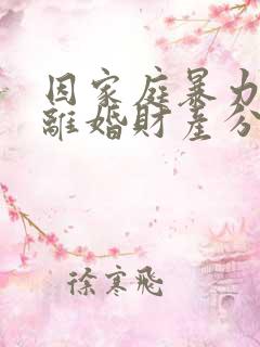 因家庭暴力起诉离婚财产分割