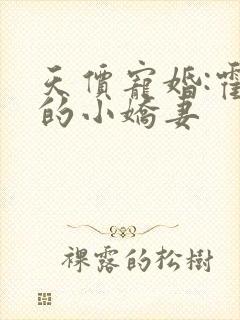 天价宠婚:霍总的小娇妻