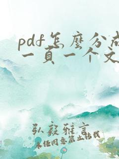 pdf怎么分成一页一个文件
