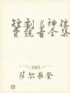 短剧《神狼》免费观看全集