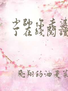 少帅你老婆又跑了在线阅读全文