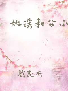 姚瑶和公小说
