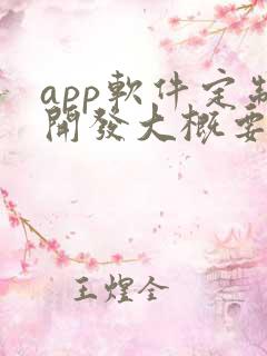 app软件定制开发大概要多少钱