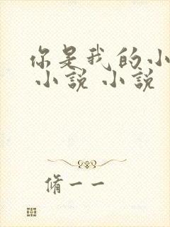 你是我的小确幸 小说 小说