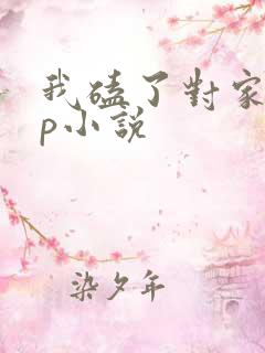 我磕了对家的cp小说