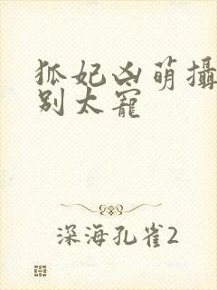 狐妃凶萌摄政王别太宠