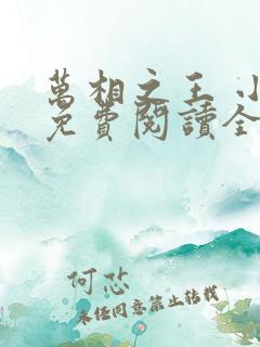 万相之王 小说免费阅读全部章节