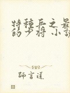 特种兵之最年轻的少将 小说