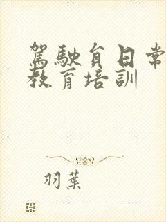 驾驶员日常安全教育培训