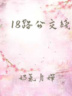 18路公交线路