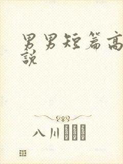 男男短篇高h小说