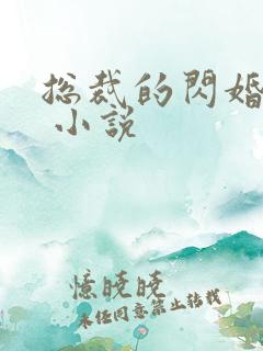 总裁的闪婚甜妻 小说