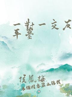 一对一交友相亲平台