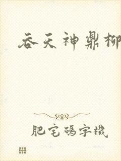 吞天神鼎柳无邪