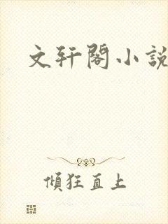 文轩阁小说网