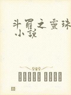斗罗之灵珠神剑 小说