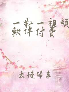 一对一视频聊天软件付费
