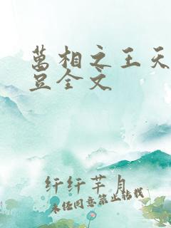 万相之王天蚕土豆全文