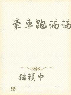 豪车跑滴滴软件