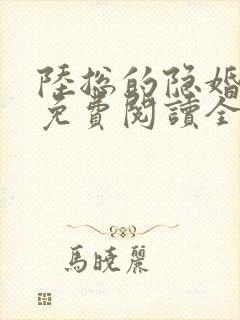 陆总的隐婚娇妻免费阅读全 陆总的隐婚娇妻免费阅读全