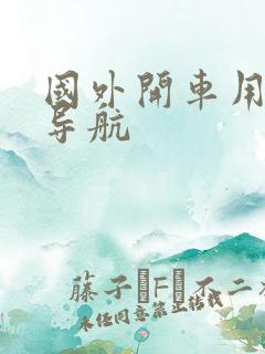 国外开车用什么导航