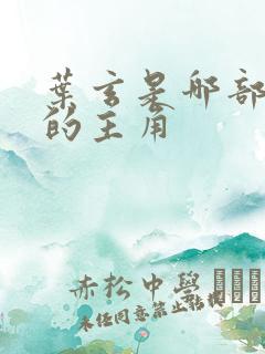 叶玄是哪部小说的主角