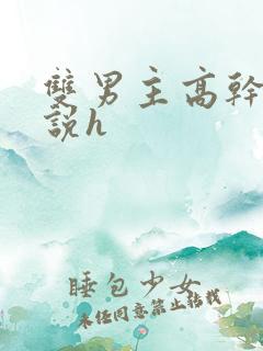 双男主高干文小说h