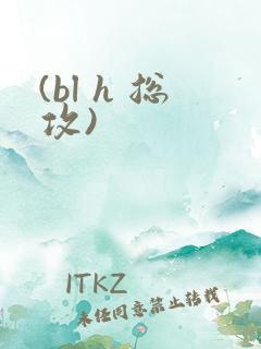 (bl h 总攻)