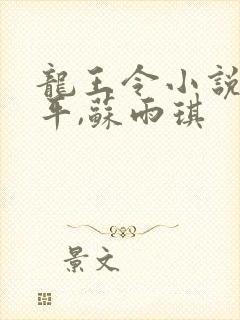 龙王令小说,陈平,苏雨琪