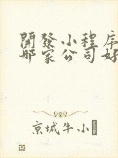 开发小程序定制哪家公司好