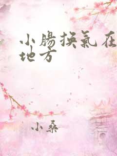 小肠换气在什么地方