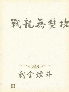 战龙无双攻略
