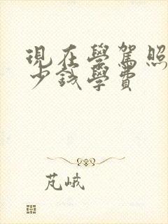 现在学驾照要多少钱学费 现在学驾照要多少钱学费