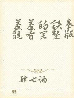 羞羞的铁拳在线观看完整版