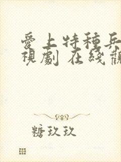 爱上特种兵 电视剧 在线观看