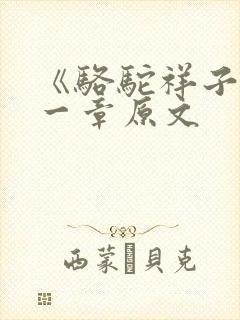 《骆驼祥子》第一章原文