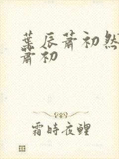 叶辰萧初然叶辰萧初