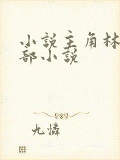小说主角林凡全部小说