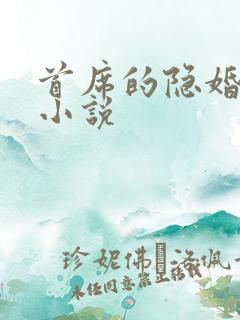 首席的隐婚妻 小说