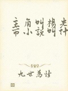 主角叫杨光的都市小说叫什么