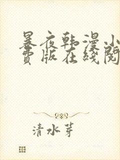 暴夜韩漫小说免费版在线阅读全文