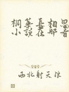 桐华长相思原著小说在哪看