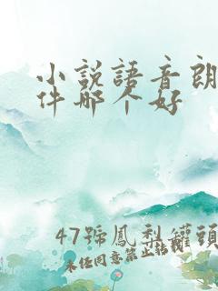 小说语音朗读软件哪个好