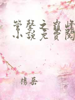 管声之巅峰权力小说免费阅读