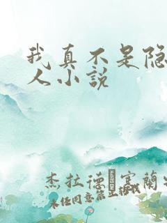 我真不是隐世高人小说