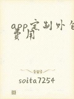 app定制外包费用