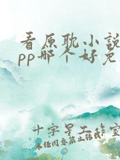 看原耽小说的app哪个好免费