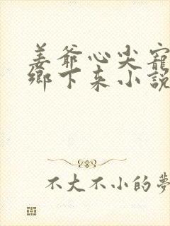 姜爷心尖宠她从乡下来小说免费讲述 姜爷心尖宠她从乡下来小说免费讲述