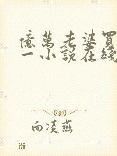 亿万老婆买一送一小说在线